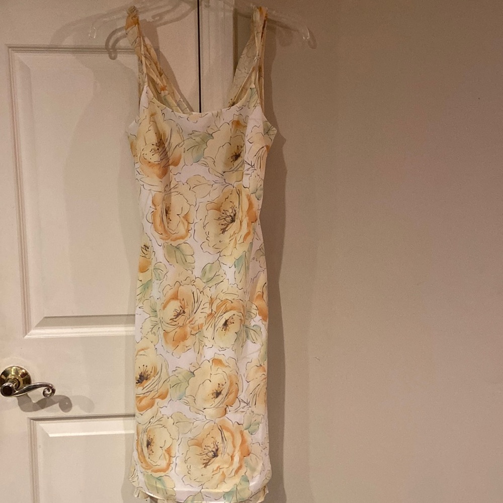 NWT Ann Taylor petite size 2 dress